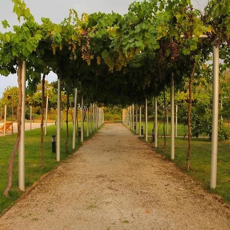 Lantställe Arts In Tondela