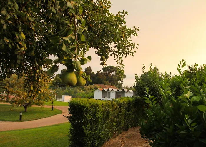 Séjour à la campagne Arts In